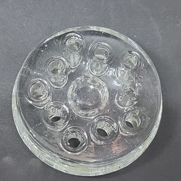 Frog - Picture 3 of 5